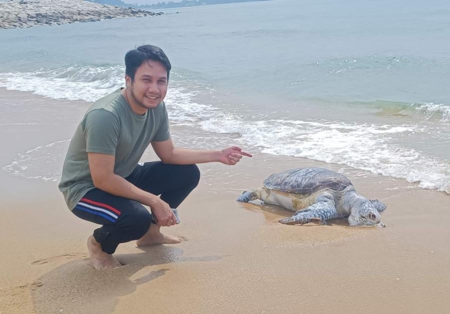 ARIF Jalaludin Mohd. Ali menunjukkan bangkai penyu yang ditemukan mati terdampar di Pantai Teluk Lipat, Dungun, hari ini. - UTUSAN/NIK NUR IZZATUL HAZWANI NIK ADNAN