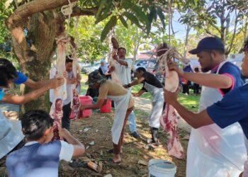 KAKITANGAN syarikat bersama penduduk sekitar bergotong-royong membantu menguruskan lembu korban untuk Rumah Kebajikan Orang-Orang Tua Seri Permai, Tanah Putih Baru di Kuantan, Pahang.