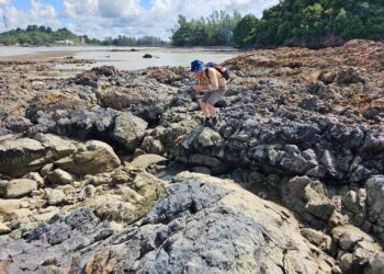 KESAN pencemaran minyak di kawasan di Pulau Che Kamat, Sungai Rengit.