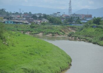 SATU jawatankuasa khas yang dianggotai oleh wakil-wakil rakyat dan agensi serta jabatan berkaitan di Negeri Sembilan diwujudkan bagi menangani isu ancaman pencemaran terhadap Sungai Linggi.