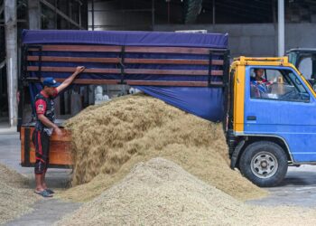 Kerajaan masih membincangkan mengenai harga beras tputih tempatan dan akan diumumkan sebelum Oktober ini.