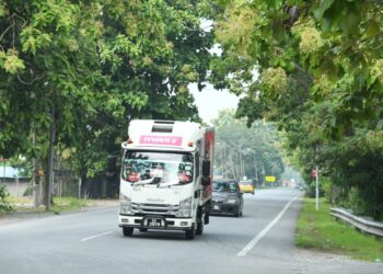 POKOK-POKOK jati dipercayai berusia lebih 30 tahun mengundang risiko kepada pengguna jalan raya di sepanjang jalan Tambun Tulang, Arau, Perlis semalam.-UTUSAN/IZLIZAN OTHMAN
