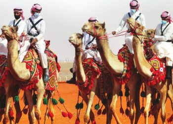 Saudi cameleers parade their animals during the sixth edition of the King Abdulaziz Camel Festival in the Rumah region, some 161Km east of the capital Riyadh- The festival introduced a round for women camel owners, allowing them for the first time to showcase their animals in a beauty contest. (Photo by Fayez Nureldine / AFP)