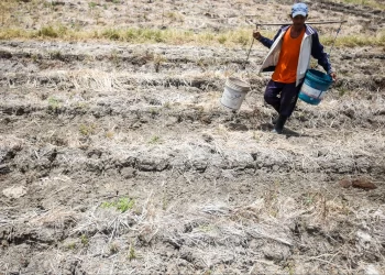 FILIPINA dijangka berdepan La Nina selepas fenomena El Nino berakhir.- AGENSI