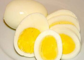 Sewaktu ingin memotong telur rebus , cuba basahkan sedikit pisau bagi memudahkan telur di potong dan tidak mudah hancur atau letakkan sedikit minyak masak di mata pisau.

NOTA
TERBITAN
UTUSAN MALAYSIA
MEGA
JUMAAT
11 JANUARI 2013
MUKA 8

***ARCHIVED BY ND