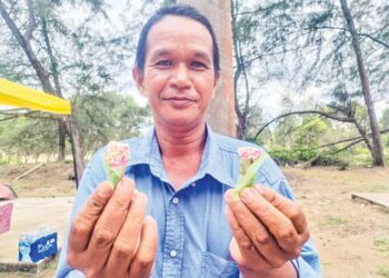 RAZALI Deraman menunjukkan gula-gula ‘tarik’ yang dijual di Pantai Bukit Keluang, Besut, Terengganu. – UTUSAN/WAN ZURATIKAH IFFAH WAN ZULKIFLI