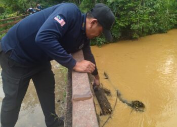 UNIT Skuba Forensik PDRM dan anggota polis membuat semakan kedalaman air Sungai Trolak, Slim River, Perak hari ini dalam misi pencarian bahan bukti kes pembunuhan Nur Farah Kartini Abdullah. - UTUSAN/FADZIL ZAINOL