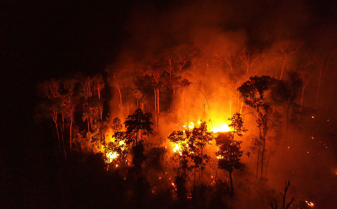 Amazon rekod 13,489 kebakaran hutan