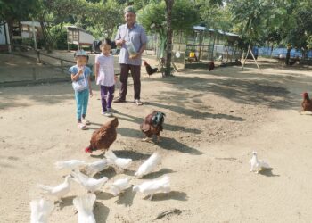 MOHD. Nasir Abdullah mengusahakan kebun dan zoo haiwan jinak yang diberi nama Atok Farm di Kampung Tanjung, Nilai, Seremban. 
– UTUSAN/NUR SHARIEZA ISMAIL