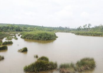 TASIK Chini perlu dipulihkan supaya ia tidak terkubur seperti mana Lembaga Kemajuan Pahang Tenggara (DARA) yang sebelum ini mengendalikan operasi pelancongan tasik semulajadi kedua terbesar negara. – UTUSAN/SALEHUDIN MAT RASAD