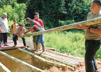 Penduduk kampung bergotong-royong menyambung tebing runtuh dengan kayu hutan ke titi besi bagi memudahkan laluan untuk mengangkut hasil kebun mereka keluar di Kampung Teluk, Baling di Kedah semalam. -MINGGUAN/Norlia Ramli