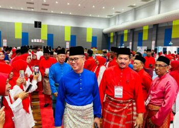 SERAMAI 156 perwakilan didakwa memulaukan Mesyuarat Perwakilan UMNO Bahagian Paya Besar kerana memboikot kehadiran perasminya, Tengku Zafrul Aziz.