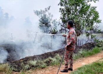 ANGGOTA bomba memadam kebakaran di  kawasan bertanah gambut di Kampung Raja, Besut. - UTUSAN/WAN ZURATIKAH IFFAH WAN ZULKIFLI