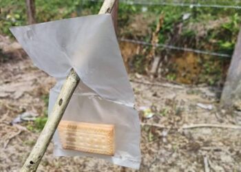 BISKUT yang dipercayai dicampur racun digantung di sebuah kebun buah- buahan di Kampung Air Putih, Kemaman.