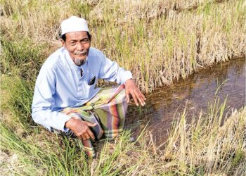 ABDUL Halim Abu Bakar bimbang jika masalah air terus berpanjangan berkemungkinan besar dia dan rakan-rakan tidak memulakan kerja-kerja menanam padi di Kampung Binjal, Bunut Susu, Pasir Mas, Kelantan. – UTUSAN/ROHANA ISMAIL