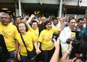 S. Ambiga semasa menjadi Pengerusi Gabungan Pilihan Raya Bersih dan Adil (BERSIH) merupakan antara orang yang paling kuat menyokong Anwar Ibrahim.