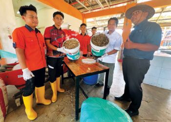 SEKUMPULAN 
pelajar menghasilkan silaj (makanan ternakan) di bengkel Industri Ternakan Kolej Vokasional Pasir Puteh, Kelantan, baru-baru ini. 
– UTUSAN/TOREK SULONG