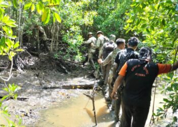 ANGGOTA tentera dari Batalion Kesembilan Rejimen Renjer Diraja, Taiping yang menyertai operasi mencari dua lelaki hilang di kawasan paya bakau di Pantai Remis di Beruas semalam. – UTUSAN/WAT KAMAL ABAS