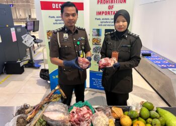 PEGAWAI Maqis Kelantan menunjukkan daging lembu korban dari Bangladesh yang dirampas semasa melakukan pemeriksaan di Lapangan Terbang Sultan Ismail Petra, Pengkalan Chepa, Kota Bharu, Kelantan.