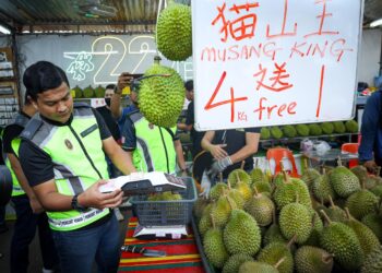 KUALA LUMPUR 31 JULAI 2024. Ketua Unit Operasi KPDN KL, Mohd Fadli Che Mi memeriksa pematuhan penjual durian dibawah perundangan yang dikuatkuasakan oleh KPDN di sekitar premis di Kepong Baru. Foto : Saddam Yusoff