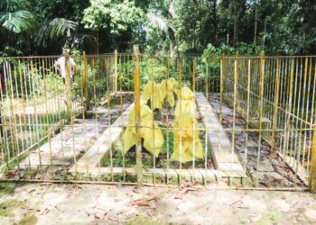 MAKAM Diraja Kesultanan Pahang susur galur Kesultanan Melayu Melaka didakwa terbiar di Bukit Ketupat, Jerantut, Pahang. – MINGGUAN/SALEHUDIN MAT RASAD