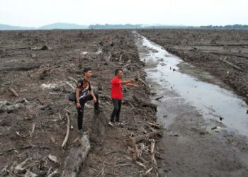 KEADAAN Tasik Bukit Merah yang semakin mengering berikutan cuaca panas ketika tinjauan di Bagan Serai semalam. - UTUSAN/WAT KAMAL ABAS