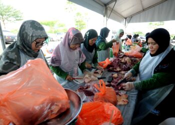 KAUM wanita kini menguasai semakin banyak bidang termasuk bidang yang selama ini didominasi oleh kaum lelaki. - GAMBAR HIASAN