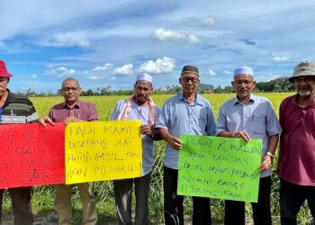 PETANI resah dengan kenaikan sewa jentuai dan serangan ulat putih yang paling teruk pada musim ini di Kubang Sepat, Jerlun.