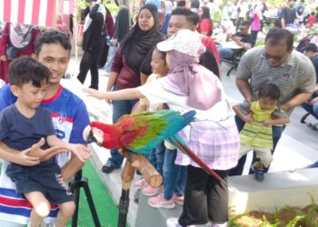 Aisy Mikael Afeeyat memberi makan kepada burung kakak tua sempena  perbukaan semula  Zoo Johor  di  Johor Bahru semalam.