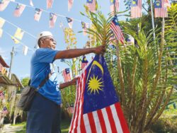 Orkid harimau berbunga selepas 7 tahun dihias Jalur Gemilang