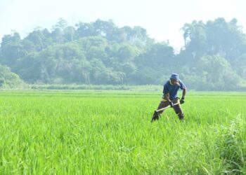 MALAYSIA bakal berdepan berlaku Fenomena La Nina pada penghujung tahun ini sehingga pertengahan tahun depan.