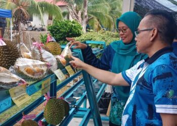 DUA kakitangan Jabatan Pertanian Pahang melihat buah Durian Premium Kampung (DKP) yang menyertai pertandingan di pekarangan Pejabat Pertanian Jerantut di Jerantut, Pahang. - FOTO/HARIS FADILAH AHMAD