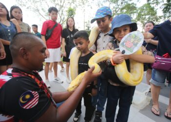 PARA pengunjung bergambar bersama ular sempena  perbukaan dan cuti umum di Zoo Johor, Johor Bahru   di sini  hari ini. - UTUSAN/BAAZLAN IBRAHIM