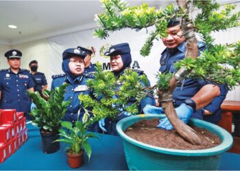 NORLELA Ismail (dua, kiri) menunjukkan pokok hidup dirampas Jabatan Kastam dalam sidang akhbar di Pelabuhan Klang, Klang, semalam. – UTUSAN/AFIQ RAZALI