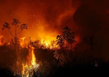 MUSIM kebakaran hutan di Brazil biasanya memuncak pada Ogos dan September.- AGENSI