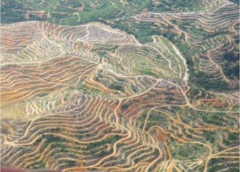 TINJAUAN udara pada Januari lalu menunjukkan aktiviti penerokaan hutan di Gua Musang, Kelantan. 
– UTUSAN/AIMUNI TUAN LAH