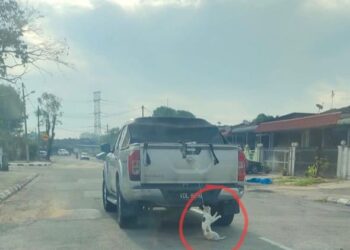 NIBONG TEBAL : Polis mengesahkan telah menerima laporan berhubung kejadian seekor kucing yang diikat lehernya menggunakan tali dan tergantung di belakang kenderaan sebuah pacuan empat roda di Simpang Ampat, di sini, semalam.