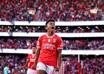 DAVID NERES - AFP