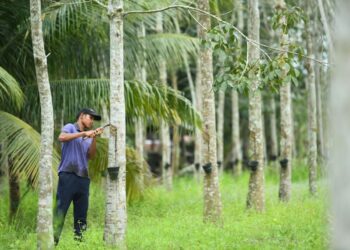 KENAIKAN harga getah sehingga mencecah RM4 sehingga RM4.50 sekilogram membantu penoreh menjana pendapatan sekali gus memberi keselesaan kepada golongan itu. - UTUSAN/IZLIZAN OTHMAN