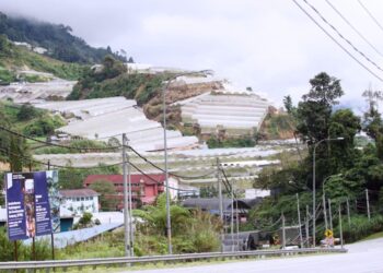 Orang Asli mengeluh terpaksa berebut peluang kerja dengan warga asing yang lebih mempunyai peluang diambil bekerja kerana dibayar gaji lebih murah.