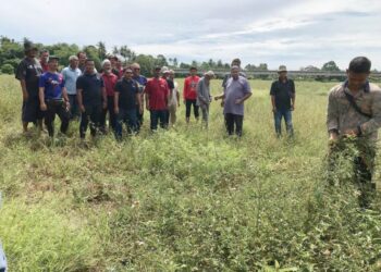 SEBAHAGIAN pesawah buntu selepas tidak dapat mengusahakan tanaman padi akibat masalah bekalan air
di Kelantan. – UTUSAN/ROSLIZA MOHAMED