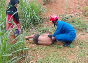 JUMA Azira Azmi (kiri) melihat suaminya, Ahmad Dahaman yang disengat tebuan dibantu oleh anggota Angkatan Pertahanan Awam (APM) Daerah Sik dalam kejadian di Kampung Jering, Sik.