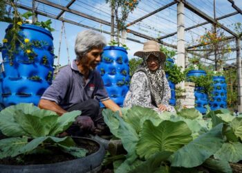 AJAR diri untuk memulakan sejenis tanaman bagi menampung keperluan sendiri dan keluarga dalam usaha mengurangkan pembelian di pasar raya ekoran harga  tinggi.