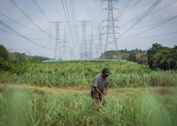 SUDAH tiba masanya kerajaan negeri bertindak lebih tegas menguatkuasakan undang-undang berkenaan sekatan pajakan tanah kepada bukan warganegara dan syarikat asing.