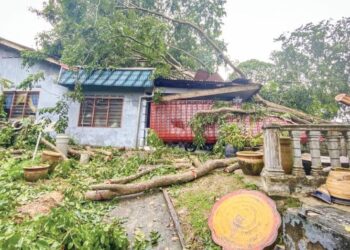 SEBATANG pokok tumbang dan menghempap sebuah rumah di Kampung Teluk, Bukit Katil, Melaka. – UTUSAN/MUHAMMAD SHAHIZAM TAZALI