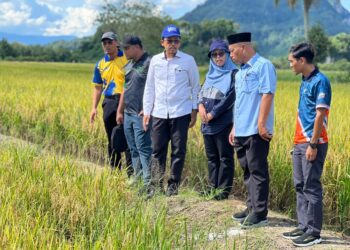 RAZALI Saad (dua dari kanan) pada majlis penuaian padi dan program peningkatan pengeluaran di Kampung Semadang, Padang Besar, Perlis hari ini.-UTUSAN/ASYRAF MUHAMMAD