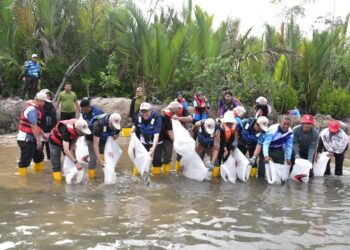 SEBAHAGIAN daripada benih ikan yang dilepaskan Jabatan Perikanan Negeri Terengganu di Sungai Merchang, Marang, baru-baru ini.