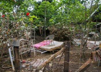 KESAN lumpur pada pokok-pokok menunjukkan paras air ketika berlakunya banjir baru-baru ini di Kampung Padang Luar, Jitra. - UTUSAN/ SHAHIR NOORDIN