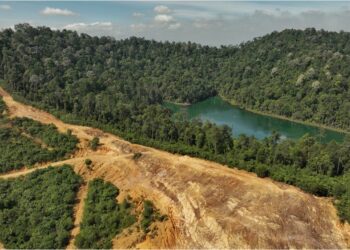 NGO membantah tindakan Kerajaan Negeri Selangor menyahwartakan Bukit Cherakah sebagai hutan simpan. – GAMBAR HIASAN