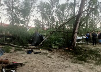 SEORANG warga emas maut dihempap pokok dalam kejadian ribut di Kem Nemo Kampung Balok di Kuantan, Pahang.